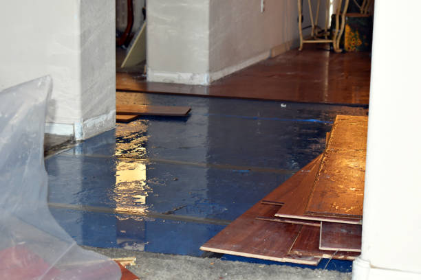 Professional Water Damage technician working in Redbird, OK